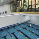 대한키즈 스윔스쿨 삼송캠퍼스 이미지