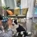 멍멍's 연구소 이미지