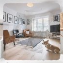 면목동물병원 | 인제군 애견분양 강아지 설사 응급 대응과 병원 기준 체크