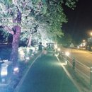 이완섭동물병원 이미지