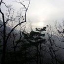 돈통마늘보쌈양주덕정점