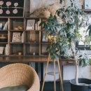 앨리살롱 이미지