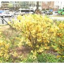 구청사거리 이미지