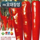 삼성고추 네이버블로그