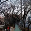 천왕산 가족캠핑장 이미지
