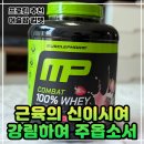 청록식품 | 단백질 보충제 추천ㅣ머슬팜 컴뱃 울트라 웨이 프로틴 파우더 딸기맛 솔직 후기