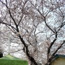 신시도초등학교 이미지