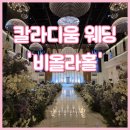 비올라 - 세종특별자치시 가름로 143 | W3. 대구 웨딩홀 투어 : 칼라디움 웨딩 비올라홀 솔직 후기(+주차, 보증 인원, 장단점)