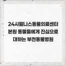 24시 웰니스 동물 의료센터 | 24시웰니스동물의료센터 본원 동물들에게 진심으로 대하는 부천동물병원