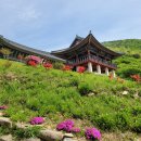 모라스테이 | &#34;부산 사상구 모라동 백양산 자락에 자리한 천년고찰 운수사. 조용한 산책로와 함께 자연 속 힐링을...