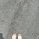 상남동254 이미지