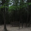 죽림원 이미지
