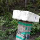 건강농장 이미지