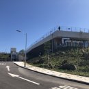 9.81 PARK JEJU 이미지