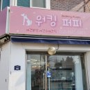 워킹퍼피 이미지