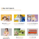 놀러오개 애견유치원 애견호텔 북위례 하남점 이미지