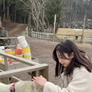 금복목장 이미지