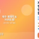 명진카 센터 | 8월 제주도 맛집 &amp; 실전 여행팁 | 현지인만 아는 진짜 정보 [3편 완결]