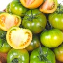 먹방상회 앞 이미지