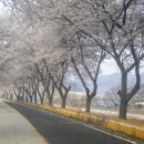 죽림정사~동화호 이미지