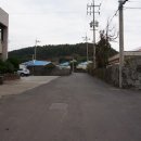 신도초등 이미지