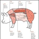홍순네 이미지