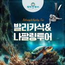 세부 보홀 발리카삭 나팔링 단독투어 뚝딱투어 뚝딱트래블 찐내돈내산 솔직후기