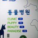 위즈펫 동물병원 이미지