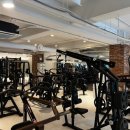 쑥 피트니스 이미지