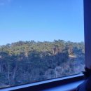 크레이지솔트 이미지