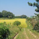 복운2리 이미지