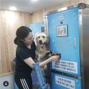 멍스타그램 이미지