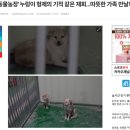 멍냥스쿨 | [순천시반려동물문화센터] 순천시 반려동물 문화센터 탐방 후기 멍냥 시민학교, 유기견 입양 절차