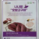 농업회사법인 대명팜 주식회사 | 나나팜 무농약 꿀호밤고구마 단호박고구마 내돈내산 후기