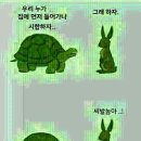 토끼와거북이 이미지