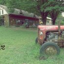 상우목장 이미지