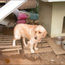 원천유원지 이미지