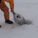 엘리웨이 인천 이미지