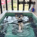 아쿠아마린 수중케어센터 | 광주 수영장 오리발 연습 1:1 맞춤 강습 SPT 센터