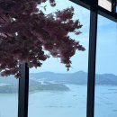 여수바다로유 | 여수 풀빌라 스테이 유 오션뷰 온수풀 후기