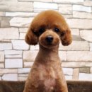 순아미용실 이미지