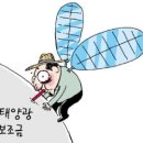 윤 태양광발전소 이미지
