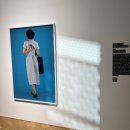 둘리비디오 이미지