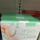 [식물성분 정맥순환 개선제 ] 센실라정 효능 , 부작용 ,후기 정리, 센텔라정량추출물 효능까지