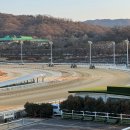 서울/경기 이색 데이트, 렛츠런파크 서울 경마공원 방문 후기(+배팅 꿀팁)