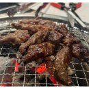 인생소갈비살