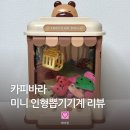 인형뽑기 | 집에서 즐기는 미니 인형뽑기 기계 카피바라 솔직 사용 후기