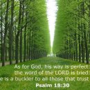 Verse of the day and prayer_260721 이미지
