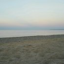 칠포농장 이미지