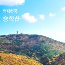 부산 승학산 대신동꽃마을~하단역 코스 이미지